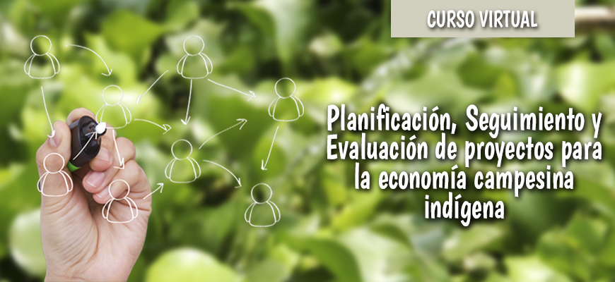 Curso Virtual. Planificación, Seguimiento y Evaluación de proyectos para la economía campesina indígena